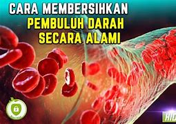 Cara Cuci Darah Secara Alami